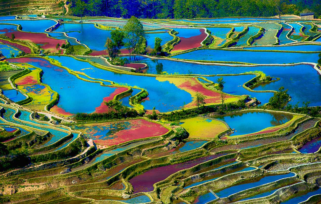 Ciclismo tour por Yangshuo Guilin 4 Días