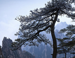 Viajes Huangshan